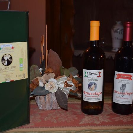 Agriturismo I Romiti Castiglione del Lago Kültér fotó