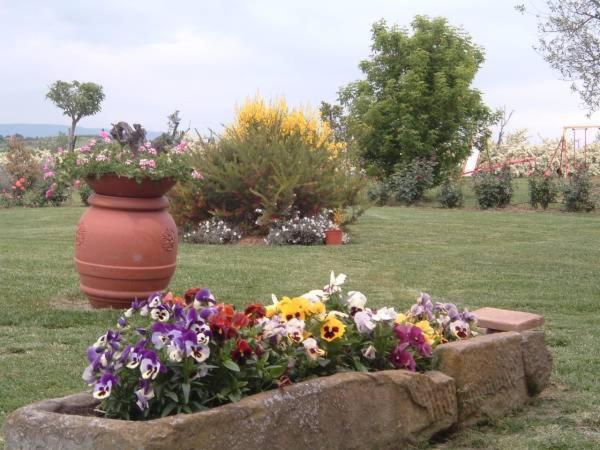 Agriturismo I Romiti Castiglione del Lago Kültér fotó