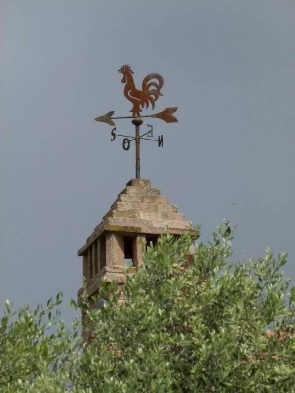 Agriturismo I Romiti Castiglione del Lago Kültér fotó