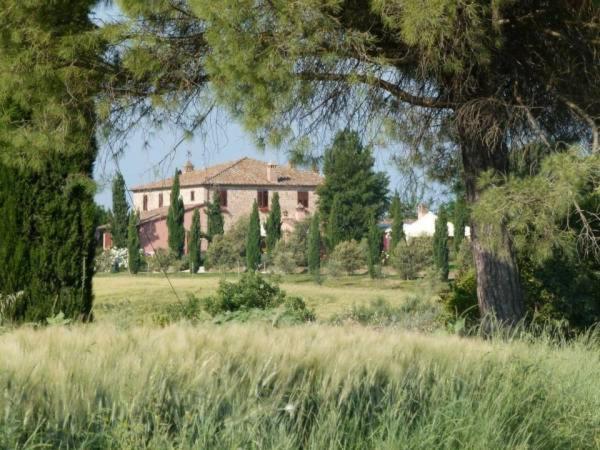 Agriturismo I Romiti Castiglione del Lago Kültér fotó